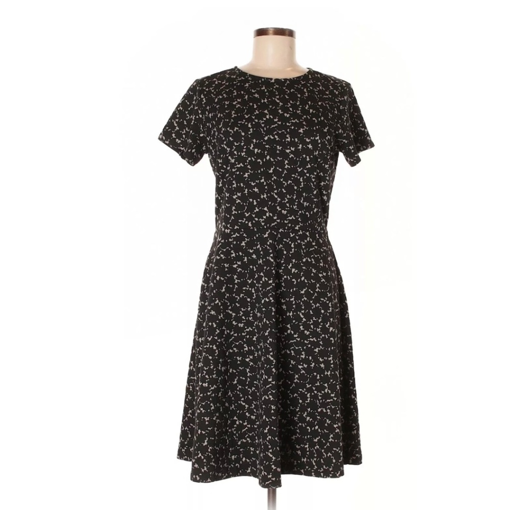 Ann Taylor LOFT Dress Womens 8T Medium Tall A-Line Black and White Short Sleeves